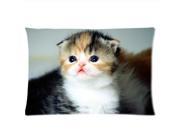 Cute Baby Cat Pillowcases Custom Pillow Case Cushion Cover 20 X 36 Inch Two Sides