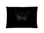 Black Cat Pillowcases Custom Pillow Case Cushion Cover 20 X 26 Inch Two Sides