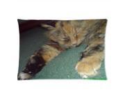 Fudge The Cat Pillowcases Custom Pillow Case Cushion Cover 20 X 36 Inch Two Sides Fudge The Cat Pillowcases Custom Pillow Case Cushion Cover 20 X 36 Inch Two Sides