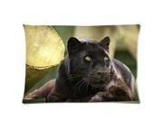 Black Panther Resting Pillowcases Custom Pillow Case Cushion Cover 20 X 26 Inch Two Sides