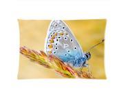 Butterfly On Grain Pillowcases Custom Pillow Case Cushion Cover 20 X 26 Inch Two Sides