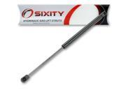 Sixity Auto Lift Supports Struts for SG325019 Trunk Hood Hatch Tailgate Window Glass Shocks Props Arms Rods