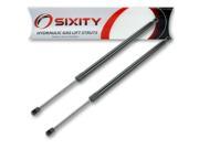 Sixity Auto 2 Lift Supports Struts for SG204020 Trunk Hood Hatch Tailgate Window Glass Shocks Props Arms Rods