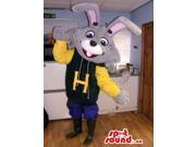 Peculiar Grey Bunny Canadian SpotSound Mascot Dressed In A Letter H Customised Top