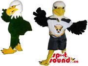 American Eagle Plush Canadian SpotSound Mascot Dressed In Rugby Team Gear With Logo