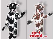 Original Cow Couple Costumes Or Canadian SpotSound Mascots In Brown Or Black Spots