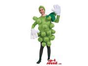 Cool Green Grape Cluster Fruit Adult Size Costume Or Canadian SpotSound Mascot