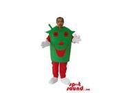 Advertising Green And Red House Costume Or Canadian SpotSound Mascot With A Face