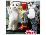 Cat Animal Couple Canadian SpotSound Mascots In White And Grey With Blue Eyes