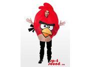 Cute Red Angry Birds Character Adult Size Costume