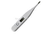 Worth New Body Digital LCD Heating Thermometer Temperature Measurement