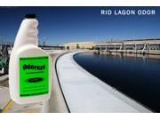 ODOREZE Natural Lagoon Odor Control Eco Spray Treats 2 000 sq. ft.to Stop Stench