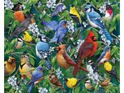Birds and Blossoms 1 000 Piece Puzzle by White Mountain Puzzles
