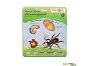 Life Cycle Of A Stag Beetle Figures Safari Ltd