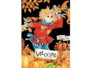 Welcome Scarecrow Mini Garden Flag by Lang Companies