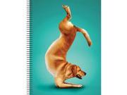 Yoga Dogs Golden Retriever Journal by Leap Year Publishing