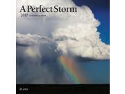 A Perfect Storm 2017 Square Plato ST Foil