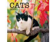 Cats Mini Wall Calendar by Turner Licensing