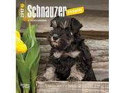 Schnauzer Puppies Mini Wall Calendar by BrownTrout