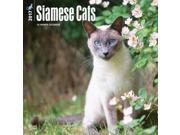 Siamese Cats Wall Calendar by BrownTrout