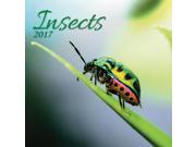 Insects Wall Calendar by Wells Street by LANG