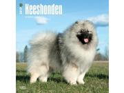 Keeshonden Wall Calendar by BrownTrout