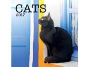 Cats Wall Calendar by Wells Street by LANG