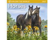 Horses Mini Wall Calendar by Ziga Media LLC