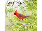 Songbirds Wall Calendar by Wells Street by LANG