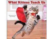 What Kittens Teach Us Wall Calendar by Willow Creek Press