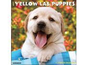 Just Yellow Lab Puppies Wall Calendar by Willow Creek Press