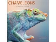 Chameleons Wall Calendar by Gladstone Media