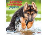 Just German Shepherd Puppies Wall Calendar by Willow Creek Press