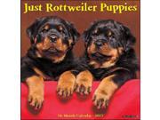 Just Rottweiler Puppies Wall Calendar by Willow Creek Press