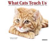 What Cats Teach Us Wall Calendar by Willow Creek Press