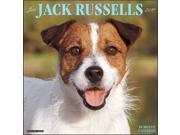 Just Jack Russells Wall Calendar by Willow Creek Press