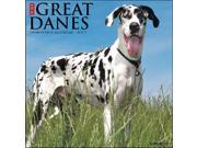 Just Great Danes Wall Calendar by Willow Creek Press