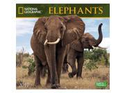 Elephants Wall Calendar by Zebra Publishing