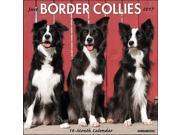 Just Border Collies Wall Calendar by Willow Creek Press