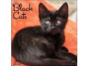 Just Black Cats Wall Calendar by Willow Creek Press
