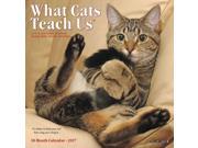 What Cats Teach Us Mini Wall Calendar by Willow Creek Press