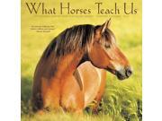 What Horses Teach Us Wall Calendar by Willow Creek Press