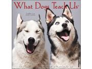 What Dogs Teach Us Wall Calendar by Willow Creek Press