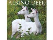 Albino Deer Wall Calendar by Willow Creek Press