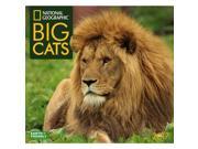 Big Cats Wall Calendar by Zebra Publishing