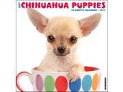 Just Chihuahua Puppies Wall Calendar by Willow Creek Press