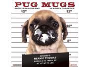 Pug Mugs Mini Wall Calendar by Willow Creek Press