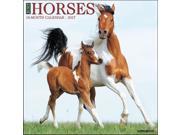 Just Horses Wall Calendar by Willow Creek Press