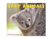 Baby Animals Desk Calendar by Willow Creek Press