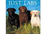 Just Labs Wall Calendar by Willow Creek Press